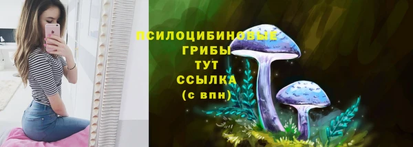 крисы Строитель