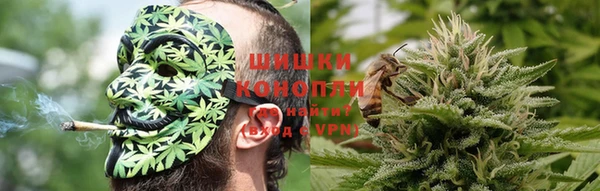 индика Нефтегорск