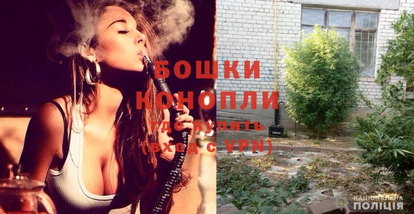 индика Нефтегорск